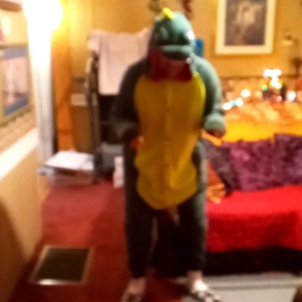 Tyrannosaurus Rex pajamas or Halloween costume